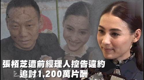 娱乐吃瓜趣闻,明星们的吃瓜趣闻大盘点